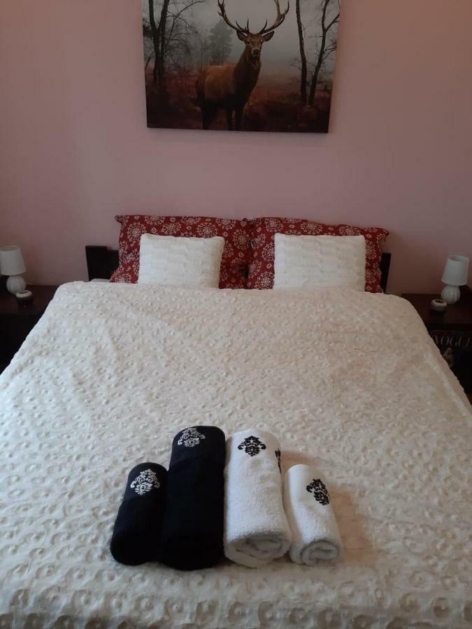 Apartament Wspanialy. Kowary Dış mekan fotoğraf